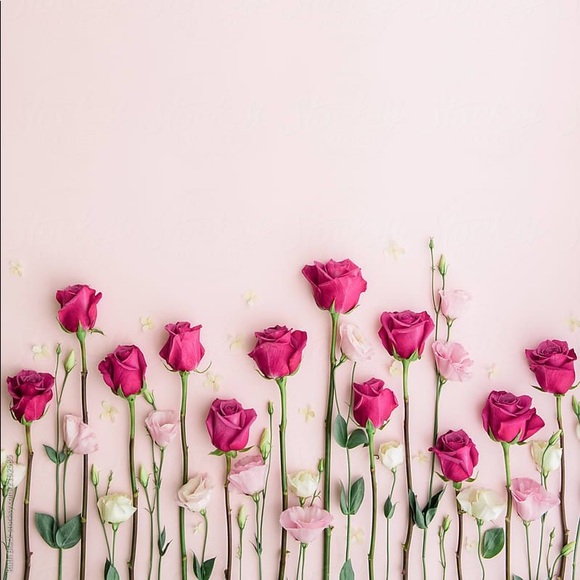 Meet your Posher, Vanessa - Picture 1 of 1